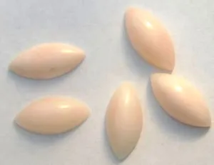 15x7mm Natural Angel Skin Coral Marquise Cabochon