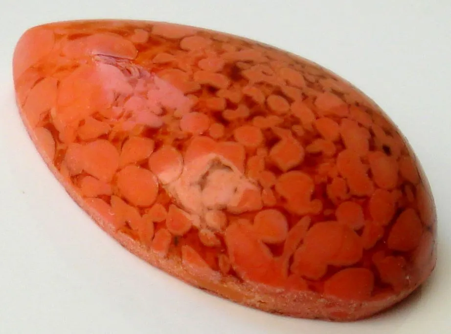 25x18mm (3331) Coral Matrix #2 Pear Pendeloque Cabochon