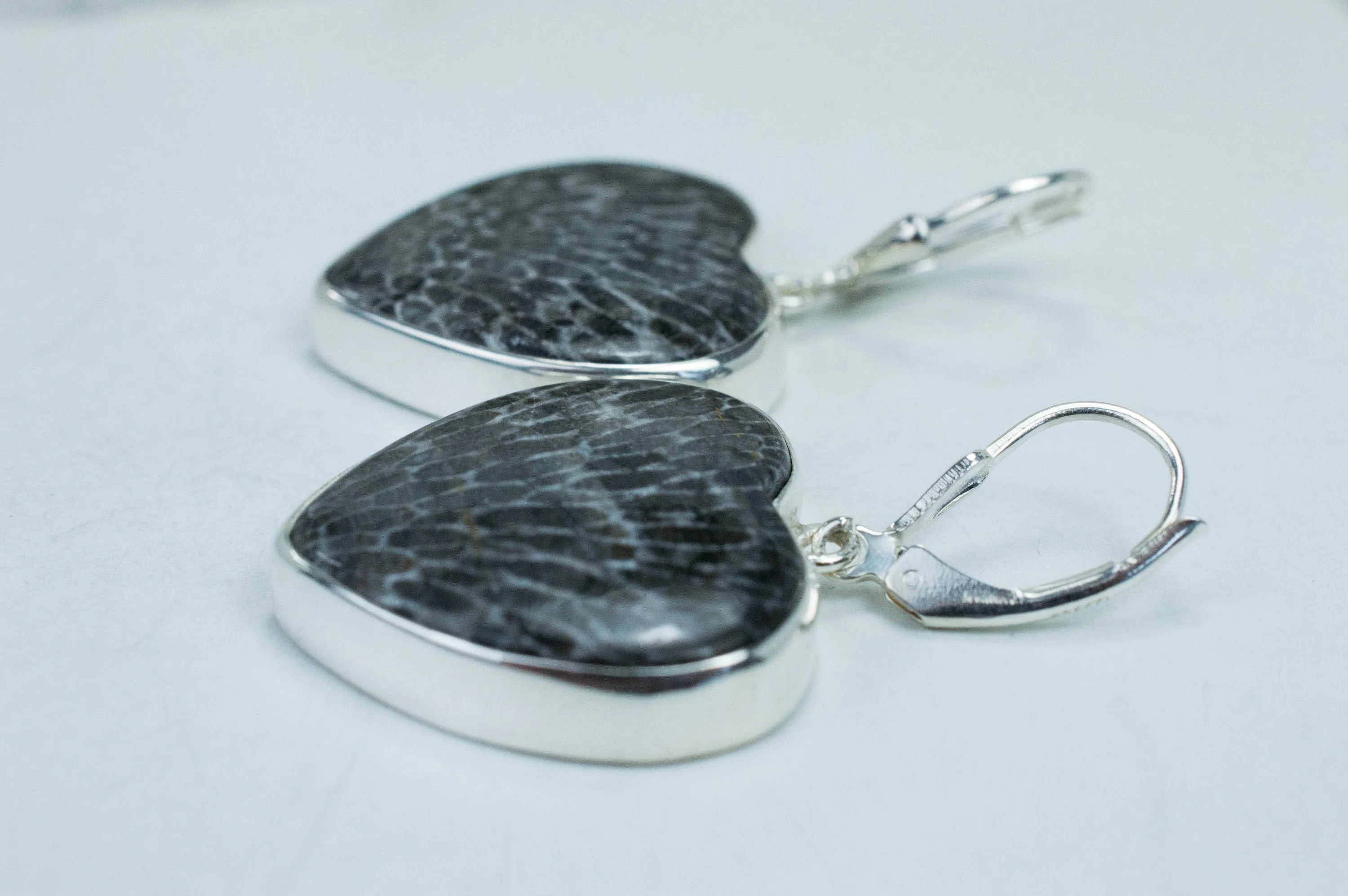 Fossil Coral Earrings; Natural Untreated Morocco Coral