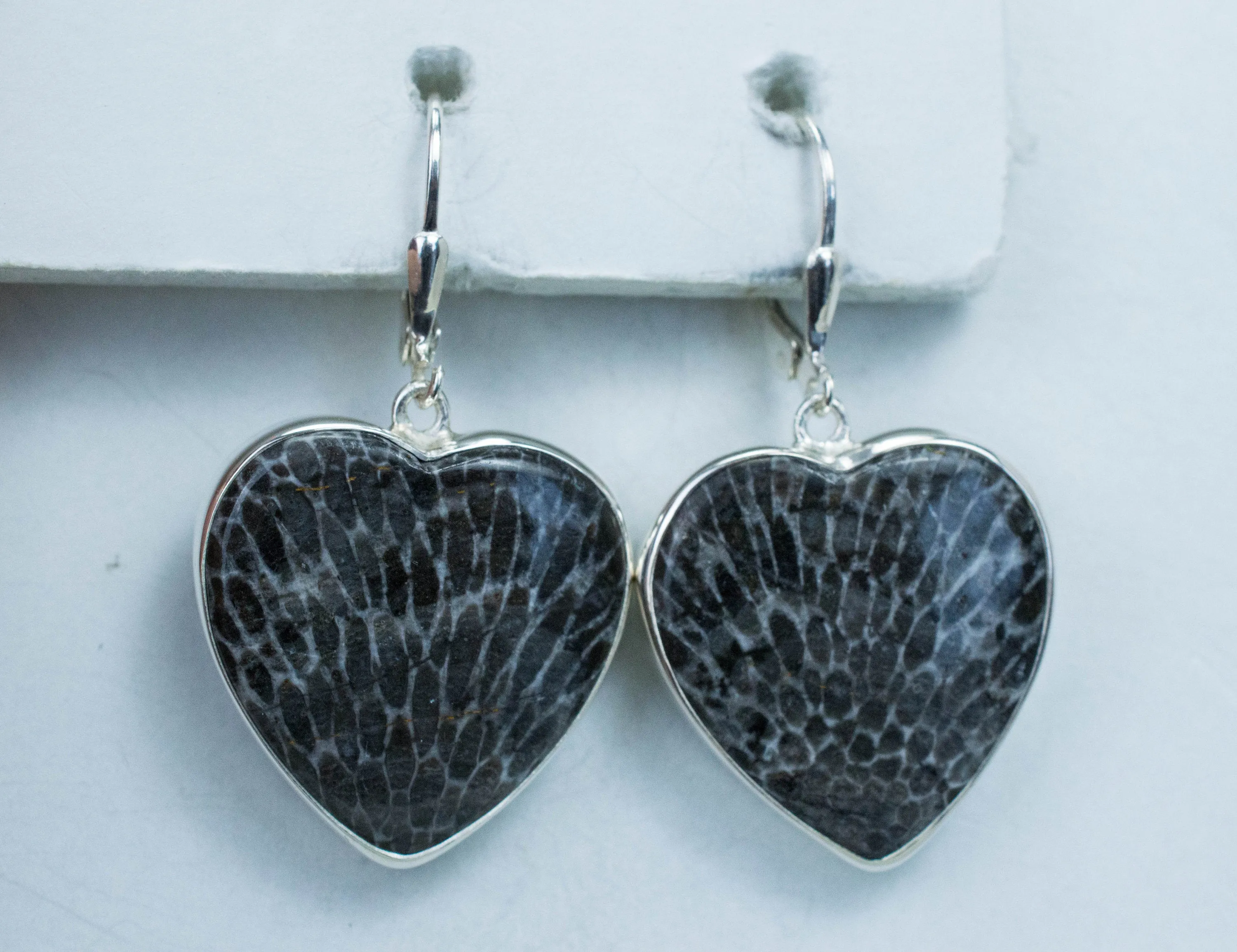 Fossil Coral Earrings; Natural Untreated Morocco Coral