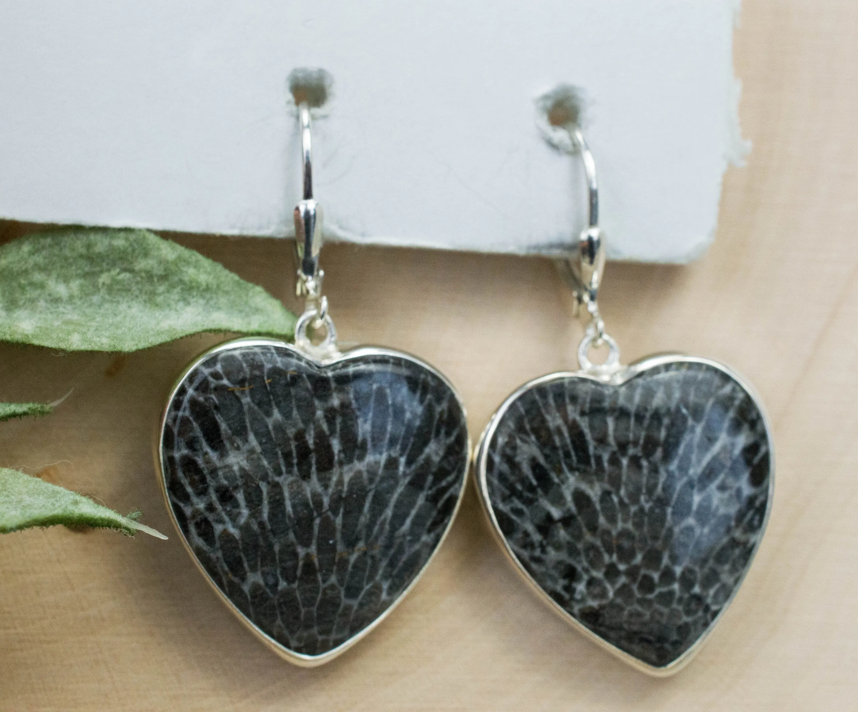 Fossil Coral Earrings; Natural Untreated Morocco Coral