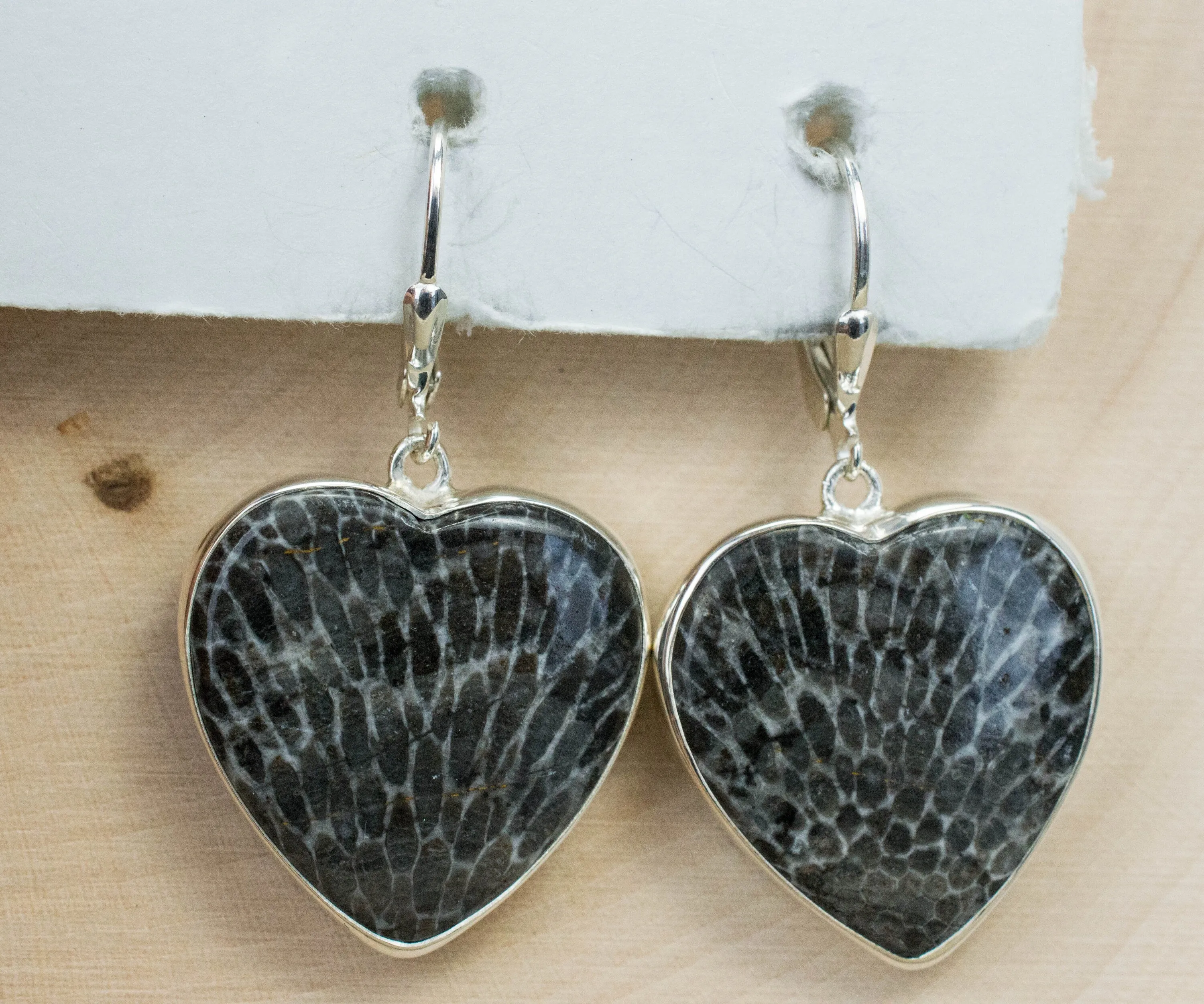 Fossil Coral Earrings; Natural Untreated Morocco Coral