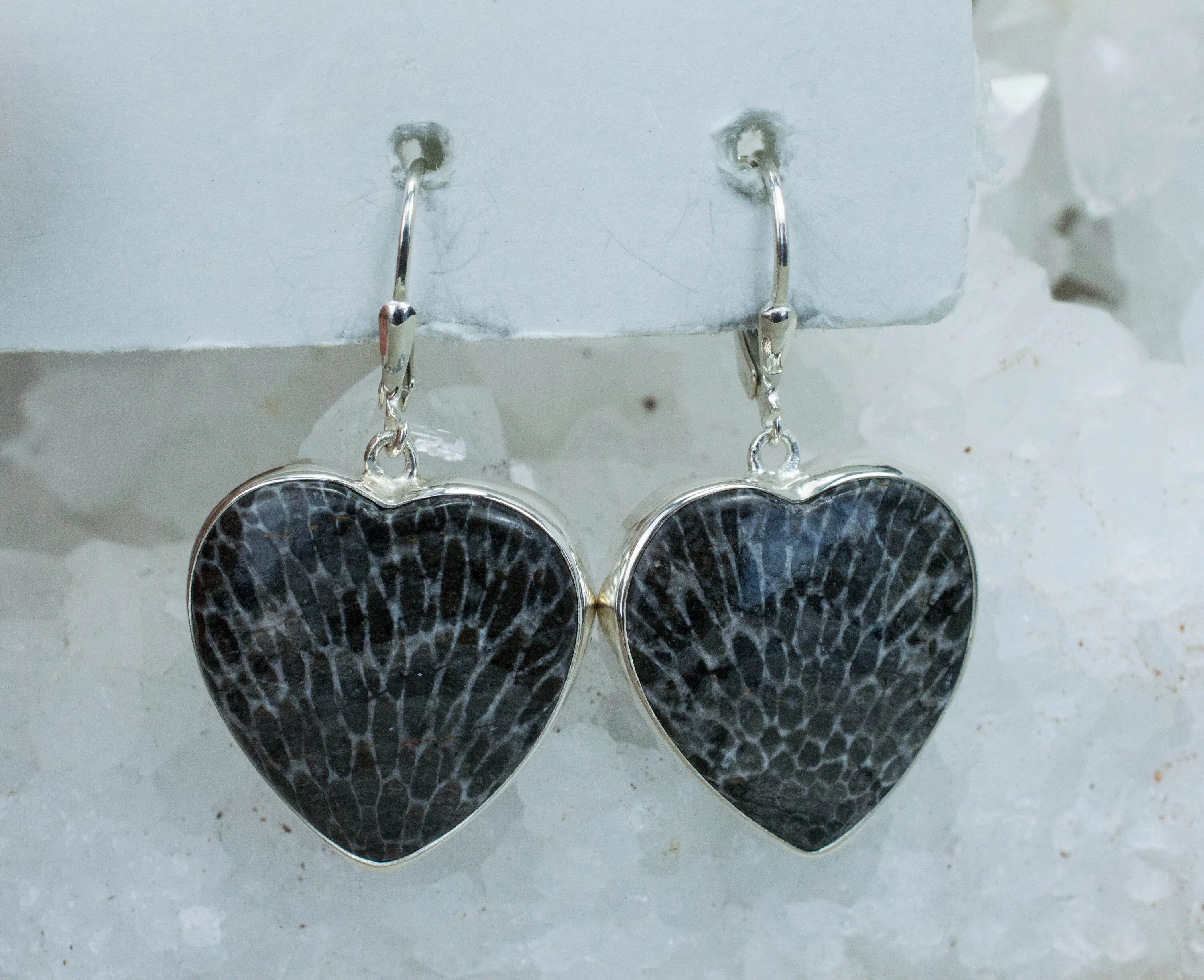 Fossil Coral Earrings; Natural Untreated Morocco Coral